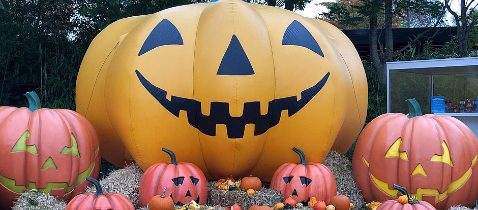 Wir laden die Kinder der Umgebung zusammen mit ihren Eltern herzlich ein, am 27. Oktober 2024 von 15:00 Uhr bis 18:00 Uhr, bei uns im Lachwald Kürbisse für Halloween zu dekorieren.